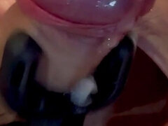 Amatőr, Monumentális dákó, Ondó fröcskölés, Maszti, Érett koros, Egyedül, Vibi