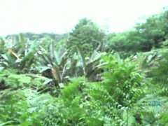 Obciąganie, Palcówka, Dziewczyna, Olej, Orgazm, Punkt widzenia, Publiczny, Mokry