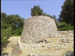 Blonde MILF Get Fucked by His Boyfriend in the Forest