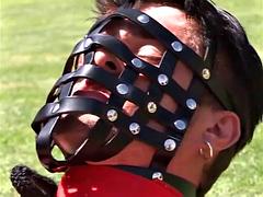 美女, 緊縛, フェラチオ, 茶髪の, イく瞬間, フェティッシュ, ハードコア, レザー