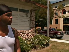 Ερασιτέχνης, Πρωκτικό, Μαύρος, Μαύρος, Ομοφυλόφιλος, Μαλλιαρός, Δημόσιο, Τατουάζ