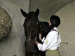 Baben, Stora tuttar, Hardcore, Suger