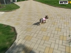 アナル, デカパイ, 茶髪の, アウトドア, 公共