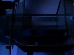 Asiático, Sadomasoquismo, Hembra, Fetiche, Japonés, Orgasmo, Adolescente, Trio