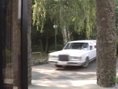 오랄섹스, 사정 샷, 더블 삽입