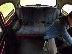 Popó, Tekintélyes didik, Gépkocsi, Cseh, Kutya póz, Európai, Szabadban, Tetkó