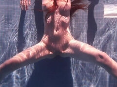 Szépség, Tekintélyes didik, Európai, Szabadban, Egyedül