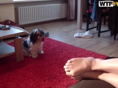 항문, 큰 가슴, 흑갈색 머리, 힐, 랑제리, 피어싱, 문신, 장난감들