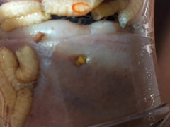 Bondage discipline sadomasochisme, Bizar, Omie, Huisgemaakt, Rijpe lesbienne, Moeder die ik wil neuken, Openbaar, Taboe