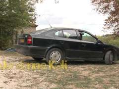 Anál, Mačiatko, Brunetka