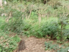 デカ尻, ブロンド, フェラチオ, ハードコア, アウトドア, ハメ撮り, 現実, ティーン