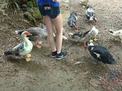 Amatör, Strand, Blondin, Avsugning, Flickvän, Piercing, Pov, Tuttar