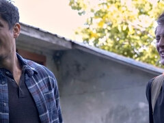 Kuřba, Péro, Gay, Švédská rojka