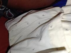 In demand, compilation, pet play