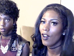 Amador amadora, Pauzão, Casal, Hermafrodita andrógina