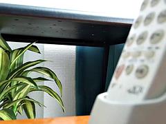 Krásky, Velké kozy, Kuřba, Legrační, Japonské, Kozičky