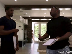 Hatalmas hátsó, Cumizás, Kebles, Ondó fröcskölés, Fajok közötti, Maszti, Természetes mellek, Begyek