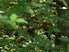 Anal, Bondage disciplina dominação submissão sadismo e masoquismo, Fetiche, Hardcore, Hd, Adolescente