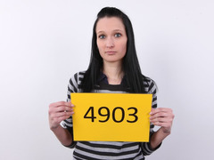 Ερασιτέχνης