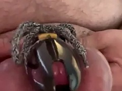 Anal, Bondage, Britannique, Travestis, Homosexuelle, Mamelons, Solo, Jouets