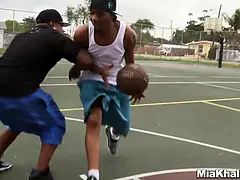 Arab, Veľké kozy, Hd, Medzirasové, Jačania, Tabu, Švédska rojka, Kozičky