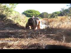 Spiaggia, Sfavillanti, Hd, Pubblico, Guardone