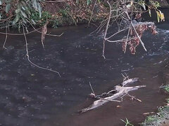 Amatéři, Velký zadek, Kuřba, Nudistka, Venku, Na veřejnosti, Překvapení, Pod vodou