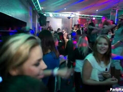 Påklædt sex, Dansende, Pik, Briller, Gruppe, Imellem racer, Fest, Strømper