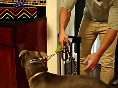 항문, 큰 음경, 페티쉬, 게이, 하드코어, 근육, 현실, 빨아들이는