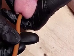 Amador amadora, Bondage disciplina dominação submissão sadismo e masoquismo, Gay bicha veado, Masturbação