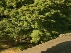 Ázijskej, Hd, Japonské, Milf  mčbp