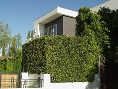 Cumizás, Női, Fajok közötti, Orgazmus, Tini, Hármas