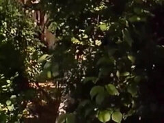 Lizanie dupy, Obciąganie, Wytrysk, Francuski, Lesbijka, Orgia, Cipka, Markowy