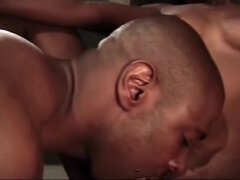 Stor kukk, Store pupper, Mørk, Retro, Pupper, Vintage