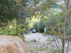 Anal, Blondin, Avsugning, Snopp, Hardcore, Mellanrasig, Milf, Porrstjärnor