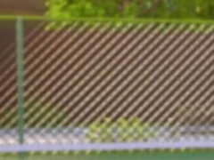 Americano, Culo grosso, Grande cazzo, Tette grandi, Imbrogliare, Hardcore, Mamma che vorrei scoparmi, Mamma