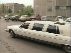 하드코어, 흥청망청 놀기, 쓰리섬, 빈티지