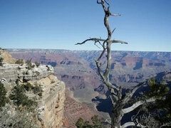 Morena, Lamidas, Tetas naturales, Coño, Pelirrojo, Tetas
