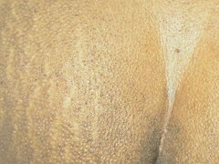 Grande cazzo, Coppia, Gay, Fatto in casa, Indiana