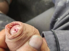 Amatør, Sperm skott, Onani, Utendørs, Polsk, Alene