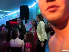 Amatööri, Perse, Iso kulli, Nainen, Fetissi, Suudella, Juhlat, Tissit