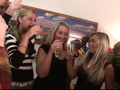 Sesso di gruppo, Gruppo, Hd, Festa