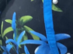 Duży tyłek, Hd, Olbrzymi, Mąż, Indyjski, Naturalne cycki, Sutki, Nagi