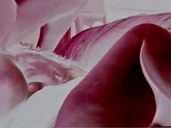 Amatőr, Testes gyönyörű hölgy, Monumentális dákó, Tekintélyes didik, Nyalás, Maszti, Érett koros, Begyek