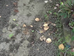 Jade is excited to explore with you!