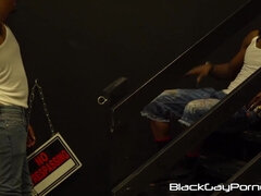 Amatööri, Iso kulli, Musta, Syväkurkku, Takaapäin, Homo, Rankka, Tatuointi