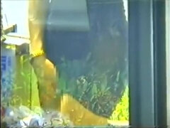 Amatør, Asiater, Babe, Skole, Japaner, Offentlig, Alene, Tenåring