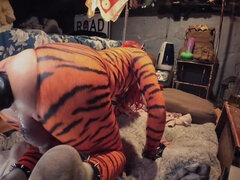 Amerikanisch, In den arsch, Dildo, Europäisch, Futanari, Klaffend, Masturbation, Solo