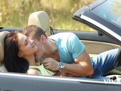 Pijpbeurt, Bruinharig, Autobus