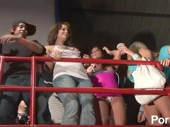 Beso negro, Grupo, Al aire libre, Público